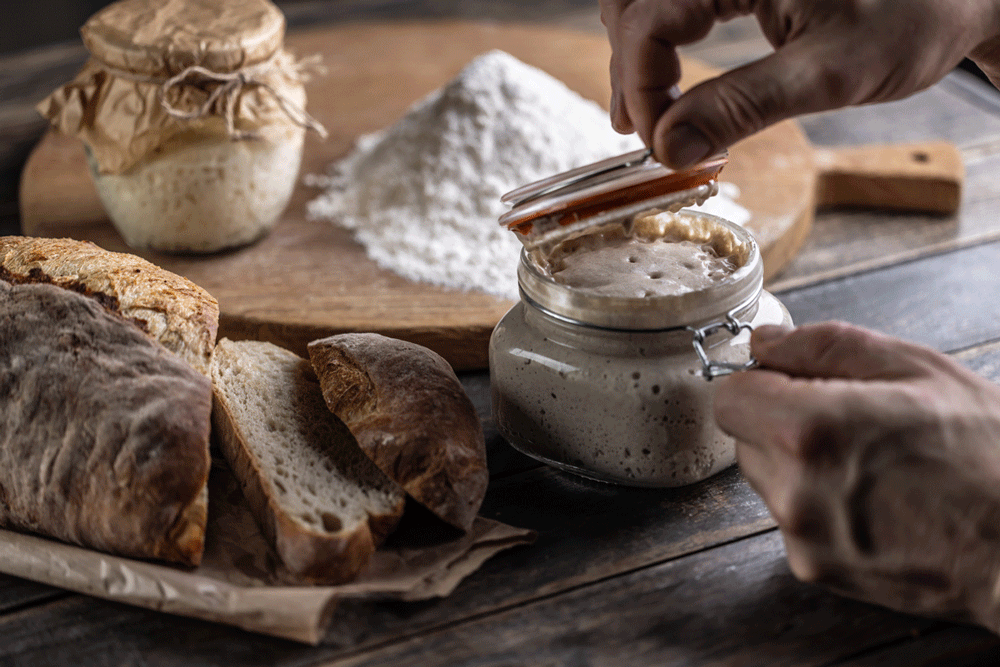 Pain Protéiné au Levain, Une Explosion de Bienfaits Nutritifs